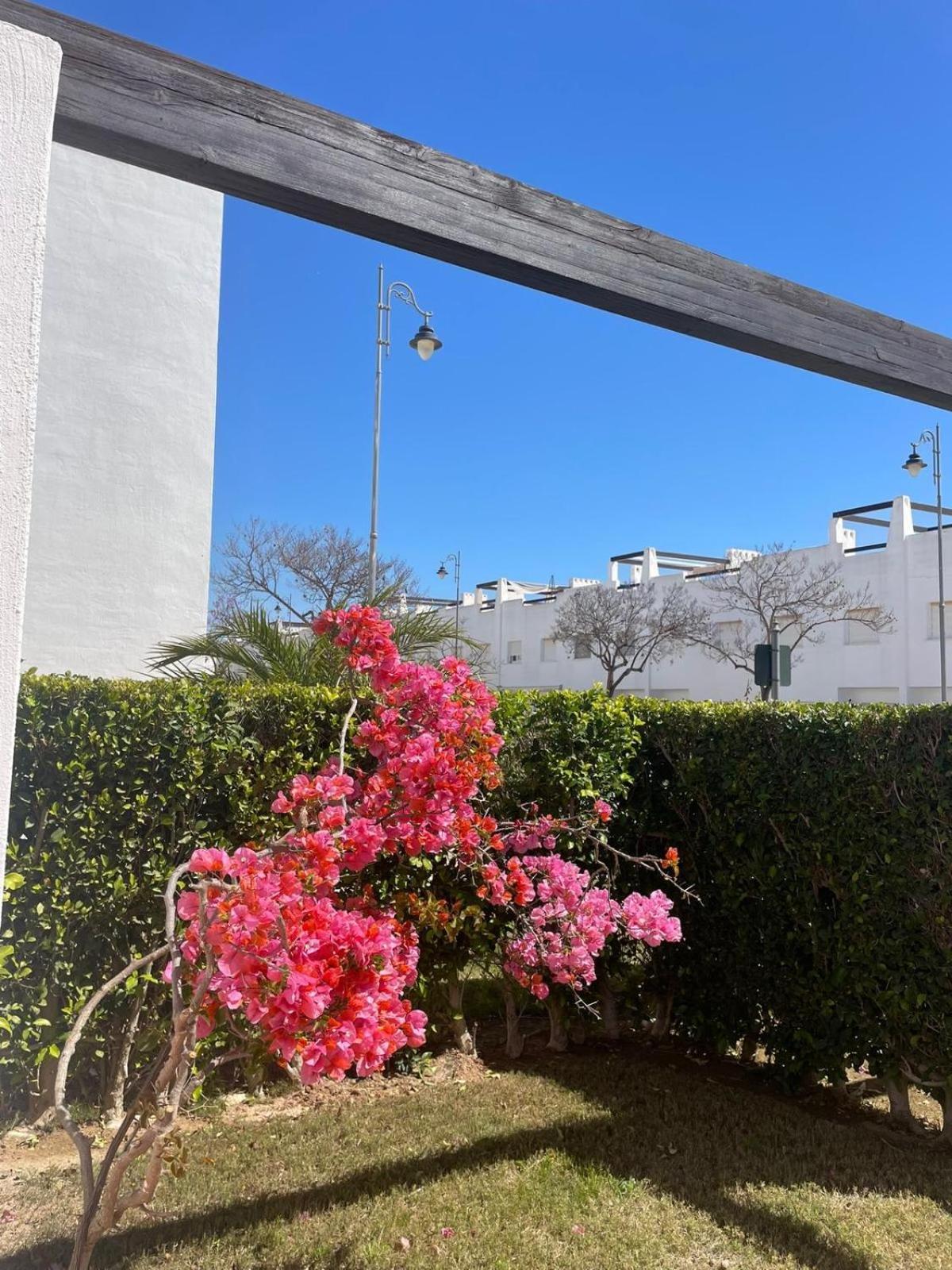 Ferienwohnung Casa Luisa Jardin 10 Condado De Alhama Alhama de Murcia Exterior foto